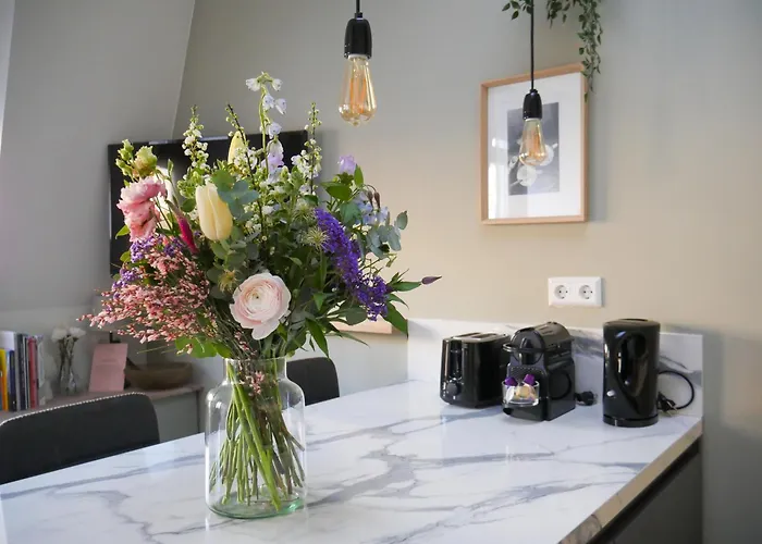 Appartement Hosted By Wendy Willem 3 La Haye